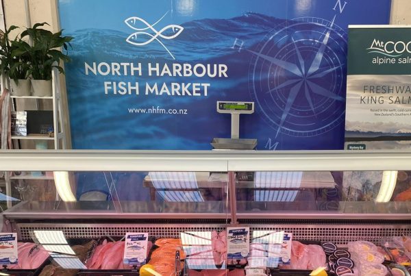 Fresh seafood display cabinet at North Harbour Fish Market store, showcasing a variety of fresh fish on ice beside the service counter and till.