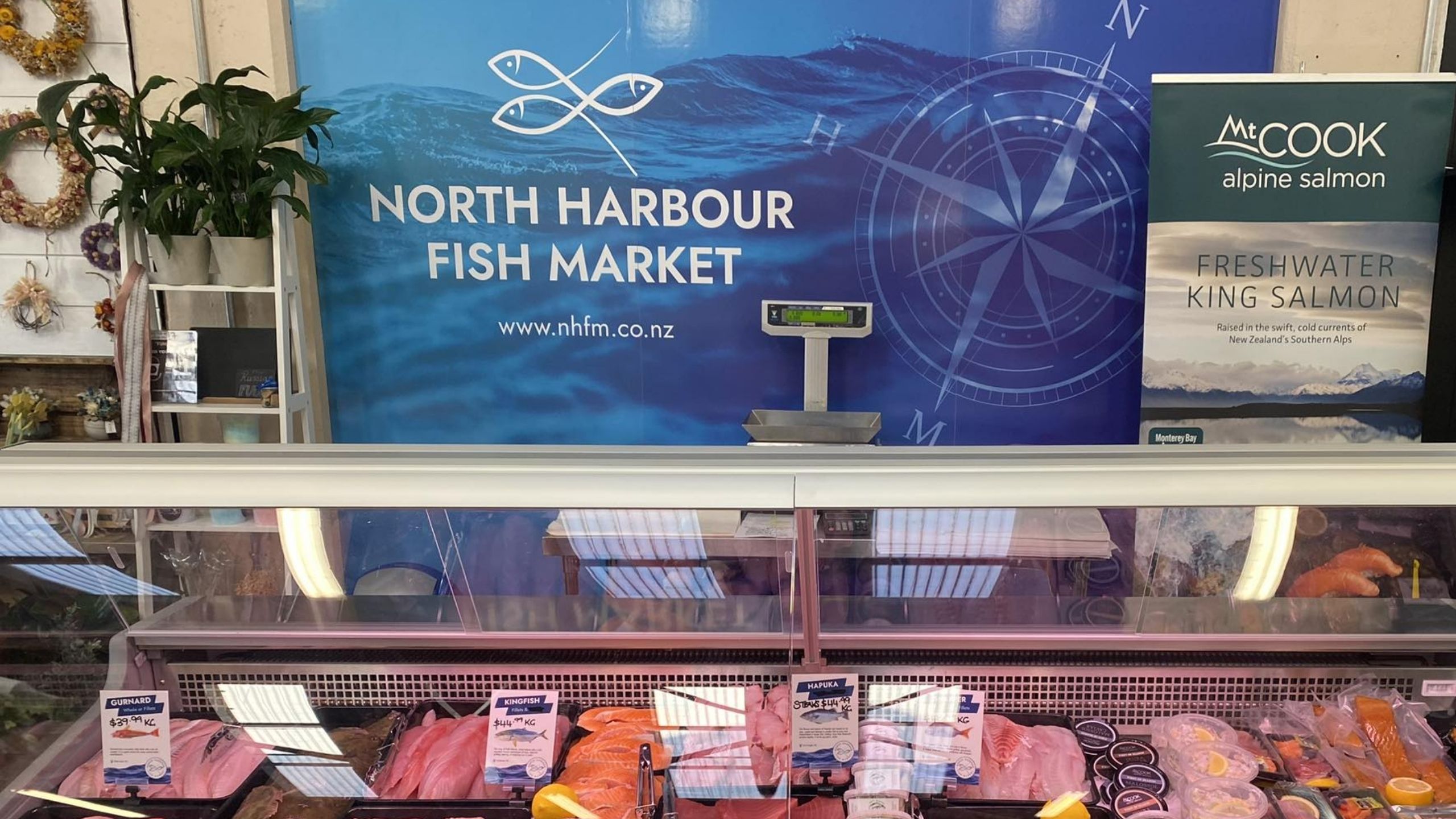 Fresh seafood display cabinet at North Harbour Fish Market store, showcasing a variety of fresh fish on ice beside the service counter and till.