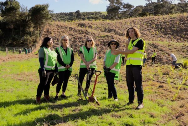ClockworX team planting trees during the May 2025 Tree Planting Action Day