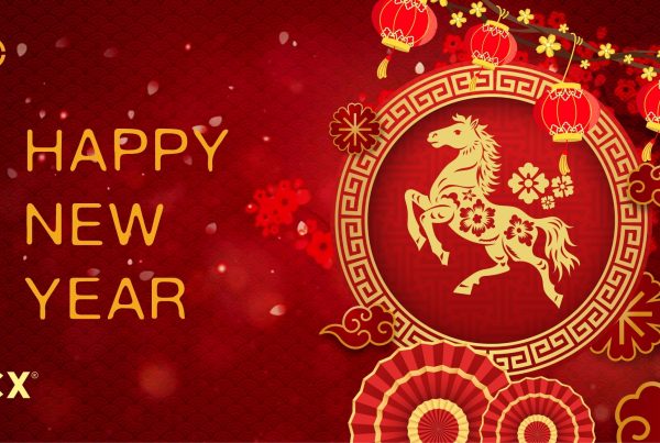 Illustration of a Fire Horse symbolising the Year of the Fire Horse 2026, representing energy, momentum, and confident business growth for NZ SMEs.